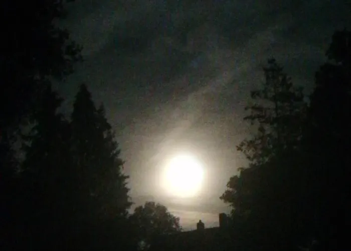 Апартаменты Lippoldsstube Brunkensen